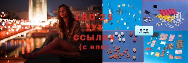прущие грибы Бежецк
