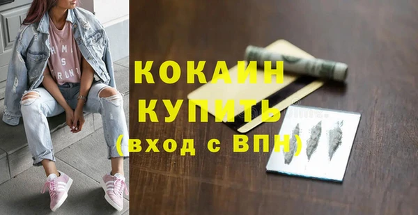 прущие грибы Бежецк
